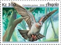 Speckled Pigeon (Columba guinea)