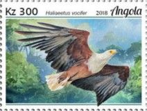 African Fish-Eagle (Haliaeetus vocifer)