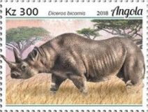 Black Rhinoceros (Diceros bicornis)