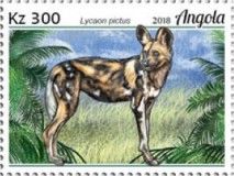 African Wild Dog (Lycaon pictus)