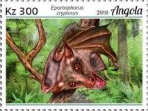 Peters's Epauletted Fruit Bat (Epomophorus crypturus)