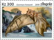 Franquet's Epauletted Fruit Bat (Epomops franqueti)