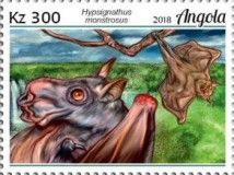 Hammer-headed Fruit Bat (Hypsignathus monstrosus)