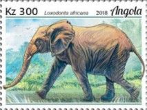 African Elephant (Loxodonta africana)