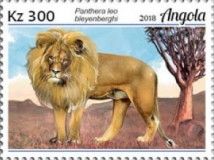 Lion (Panthera leo bleyenberghi)