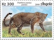Leopard (Panthera pardus pardus)