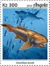 Dinichthys terrelli