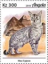 Egyptian Evil Cat