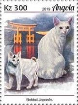 Japanese Bobtail Cat