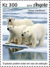Endangered Animal Species - Polar Bear
