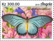 Giant Blue Swallowtail (Papilio zalmoxis)