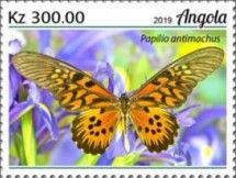 Papilio antimachus