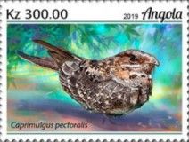 Fiery-necked Nightjar (Caprimulgus pectoralis)