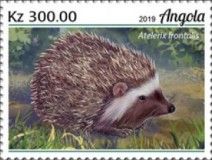 Southern African Hedgehog (Atelerix frontalis)