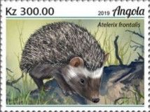 Southern African Hedgehog (Atelerix frontalis)