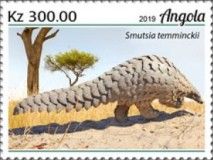 Ground Pangolin (Smutsia temminckii)
