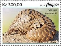 Ground Pangolin (Smutsia temminckii)