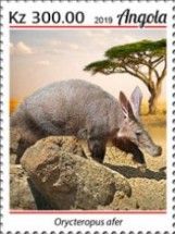Aardvark (Orycteropus afer)