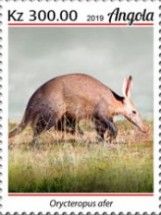 Aardvark (Orycteropus afer)