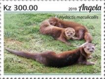 Spotted Necked Otter (Hydrictis maculicollis)