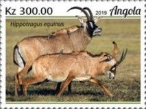 Roan Antelope (Hippotragus equinus)