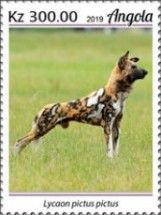 African Wild Dog (Lycaon pictus)