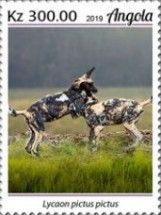 African Wild Dog (Lycaon pictus)