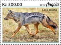 Side Striped Jackal (Canis adustus)