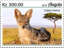 Cape Fox (Vulpes chama)