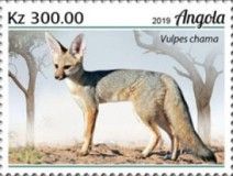 Cape Fox (Vulpes chama)