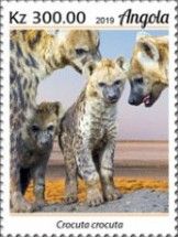 Spotted Hyaena (Crocuta crocuta)