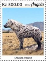 Spotted Hyaena (Crocuta crocuta)