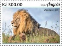 Lions (Panthera leo)