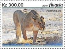 Lions (Panthera leo)