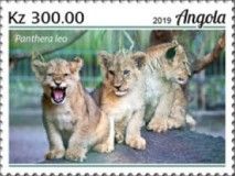 Lions (Panthera leo)