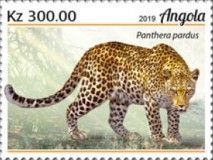 Leopard (Panthera pardus)