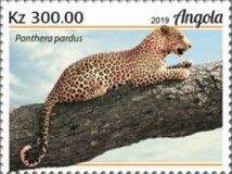Leopard (Panthera pardus)
