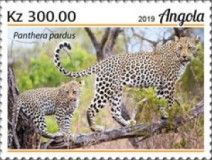Leopard (Panthera pardus)
