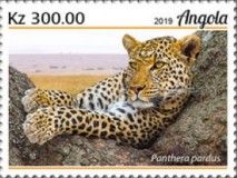Leopard (Panthera pardus)