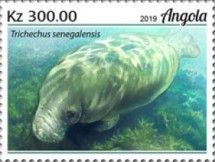 Manatee (Trichechus senegalensis)