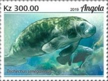 Manatee (Trichechus senegalensis)