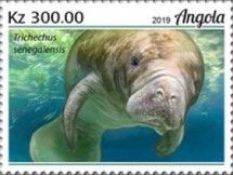 Manatee (Trichechus senegalensis)