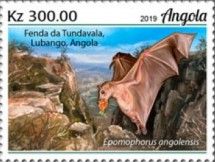 Angolan Epauletted Fruit Bat (Epomophorus angolensis)