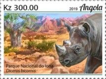 Black Rhinoceros (Diceros bicornis)