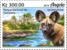 African Wild Dog (Lycaon pictus)