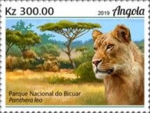 Lions (Panthera leo)
