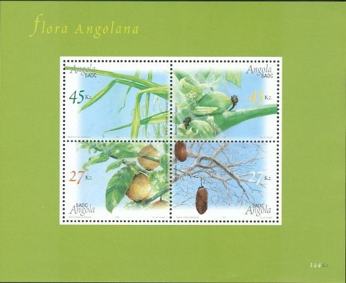 Angolan flora