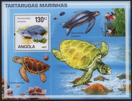 Sea Turtles