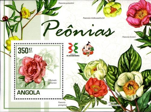 Peonies