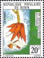 Manioc